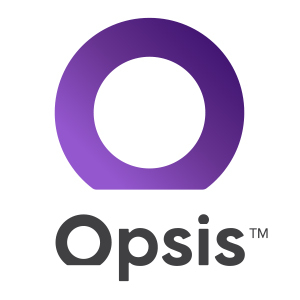 Opsis